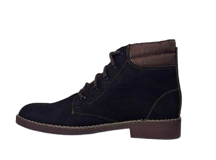 Bota